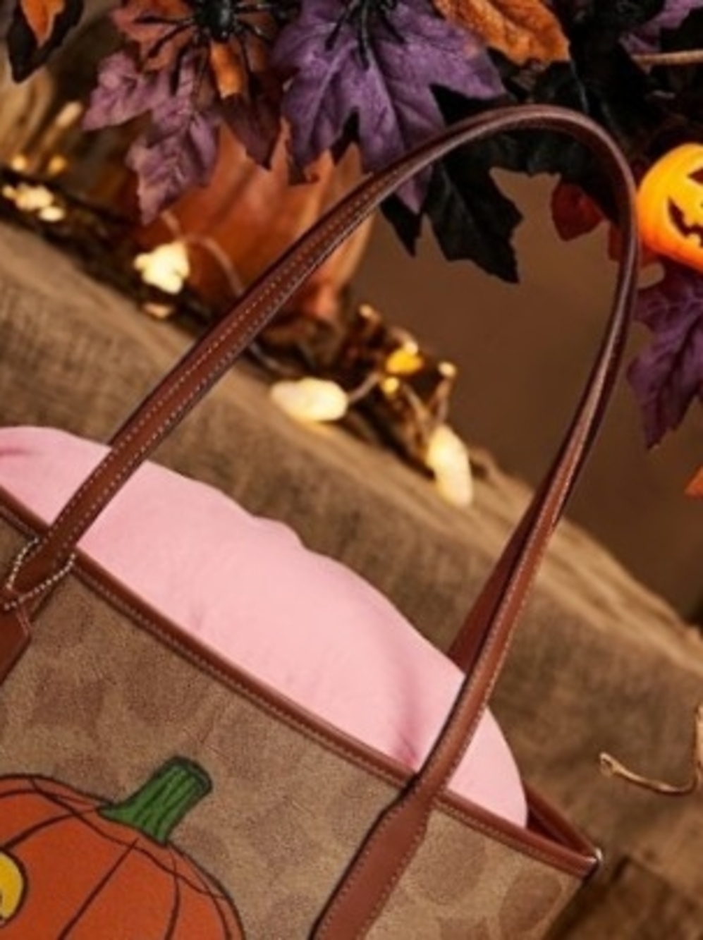 Coach Coach City Halloween Pumpkin Tote NWT - Picture 2 of 4